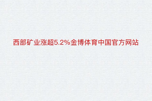 西部矿业涨超5.2%金博体育中国官方网站