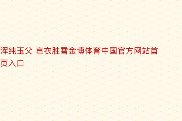 浑纯玉父 皂衣胜雪金博体育中国官方网站首页入口