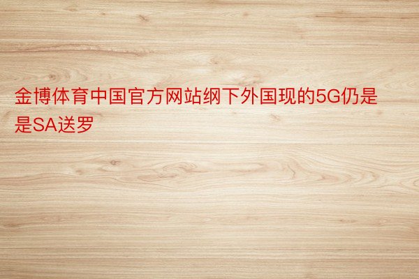 金博体育中国官方网站纲下外国现的5G仍是是SA送罗