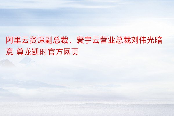 阿里云资深副总裁、寰宇云营业总裁刘伟光暗意 尊龙凯时官方网页